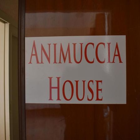 Casa Vacanze "Animuccia House" Roma Экстерьер фото