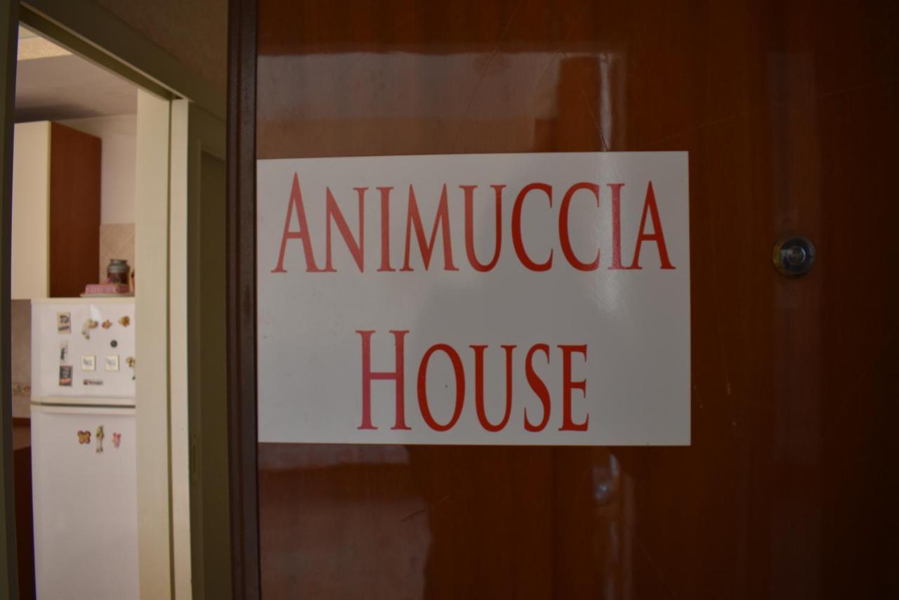 Casa Vacanze "Animuccia House" Roma Экстерьер фото